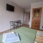 Plomyk